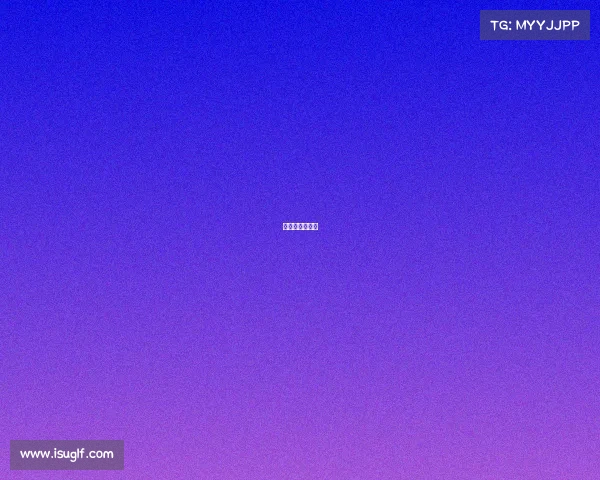 汇跑赛事怎么样